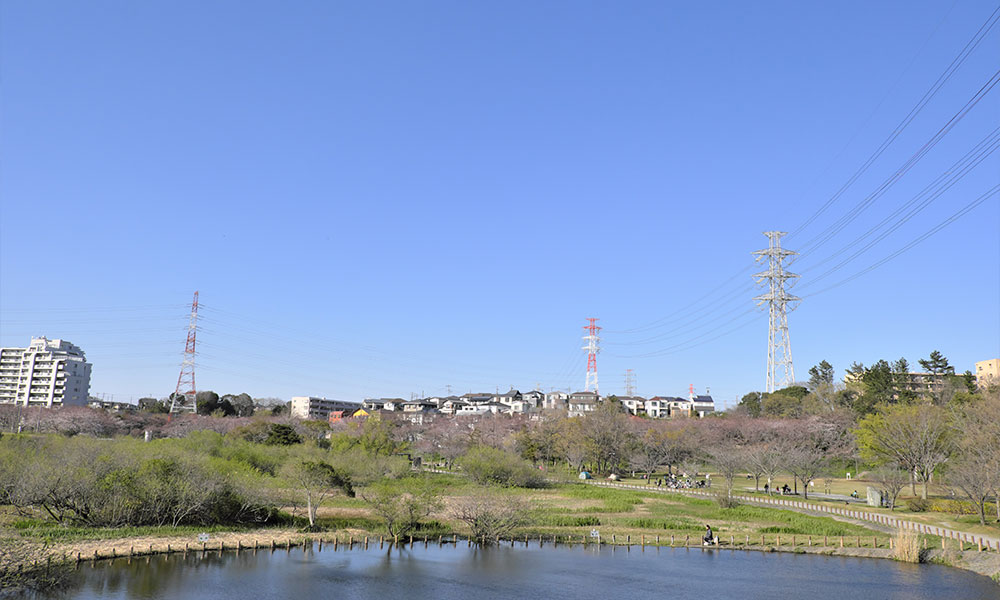 理由2,市川市・船橋市・浦安市を中心とした地域密着の対応